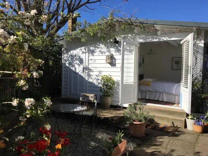Garden Studio Cranbrook Exteriör bild